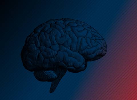 Mind Codex® - Mit Persönlichkeit zum Erfolg!