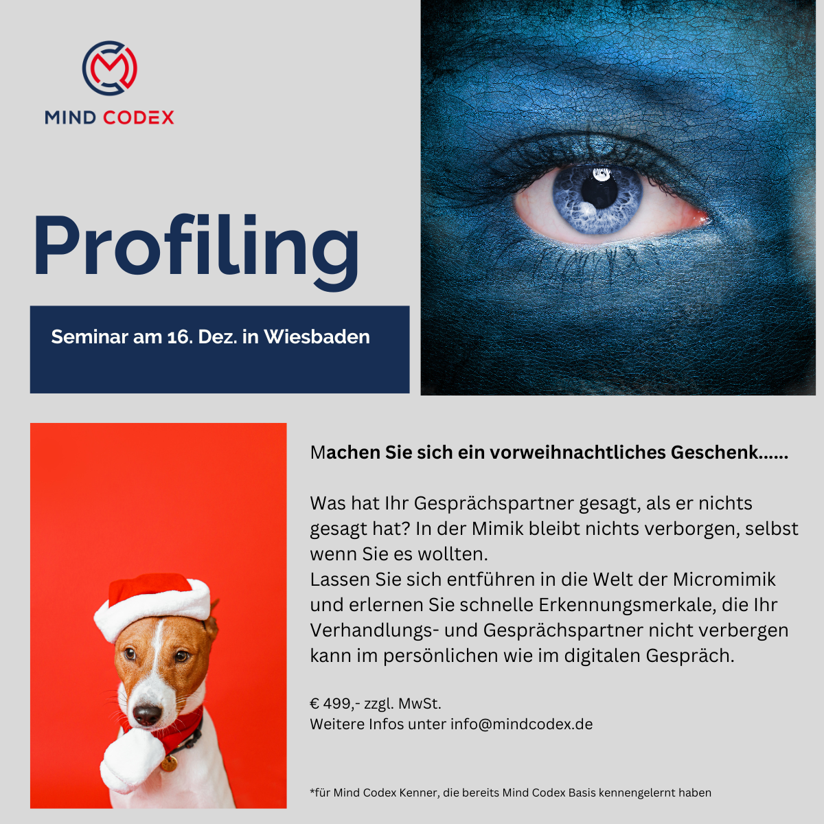 Lernen Sie unser neues Seminar Profiling kennen!